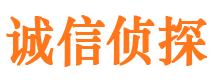 淅川诚信私家侦探公司